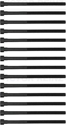 Cylinder Head Bolt Set